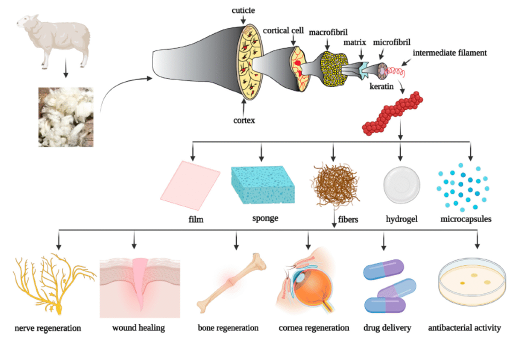 Biomimetic Mineralization of Keratin Scaffolds for Enamel Regeneration