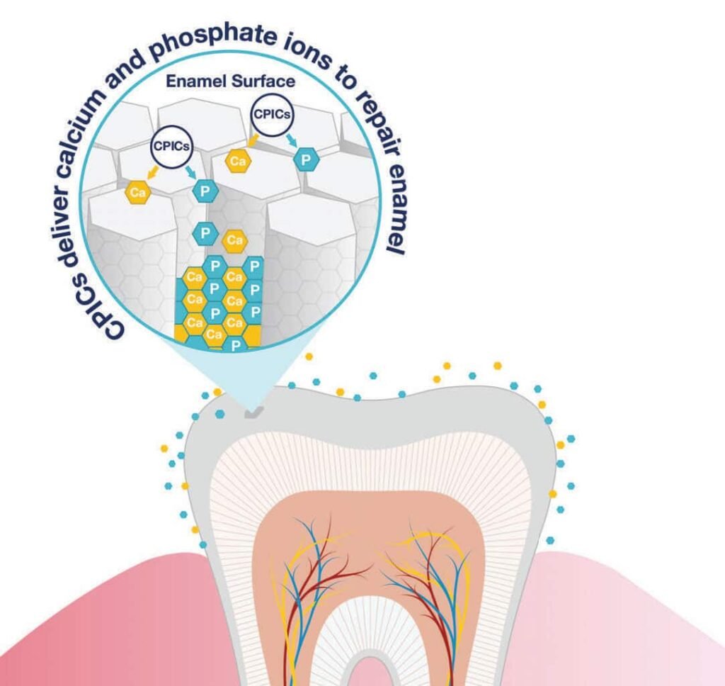 Enamel Structure and the Presence of Hair Keratins